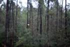 lsuhscskeetshoot201284_small.jpg