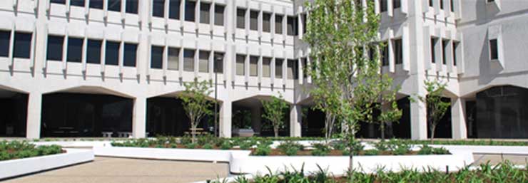 Courtyard Panorama