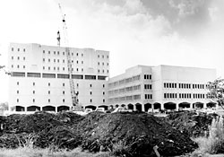 LSU Dental School Historical Photo