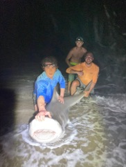 shark